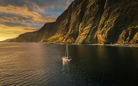 Funchal Sunset Sailing Dolphin & Whale Watching