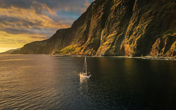 Funchal Sunset Sailing Dolphin & Whale Watching