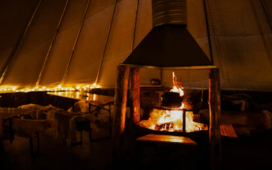 From Tromsø: Reindeer Sledding and Sami Culture Tour with Lunch and Hot Drinks