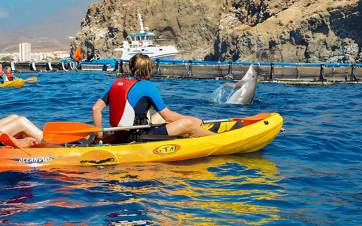 Tourist kayaking near a dolphin in Tenerife waters.