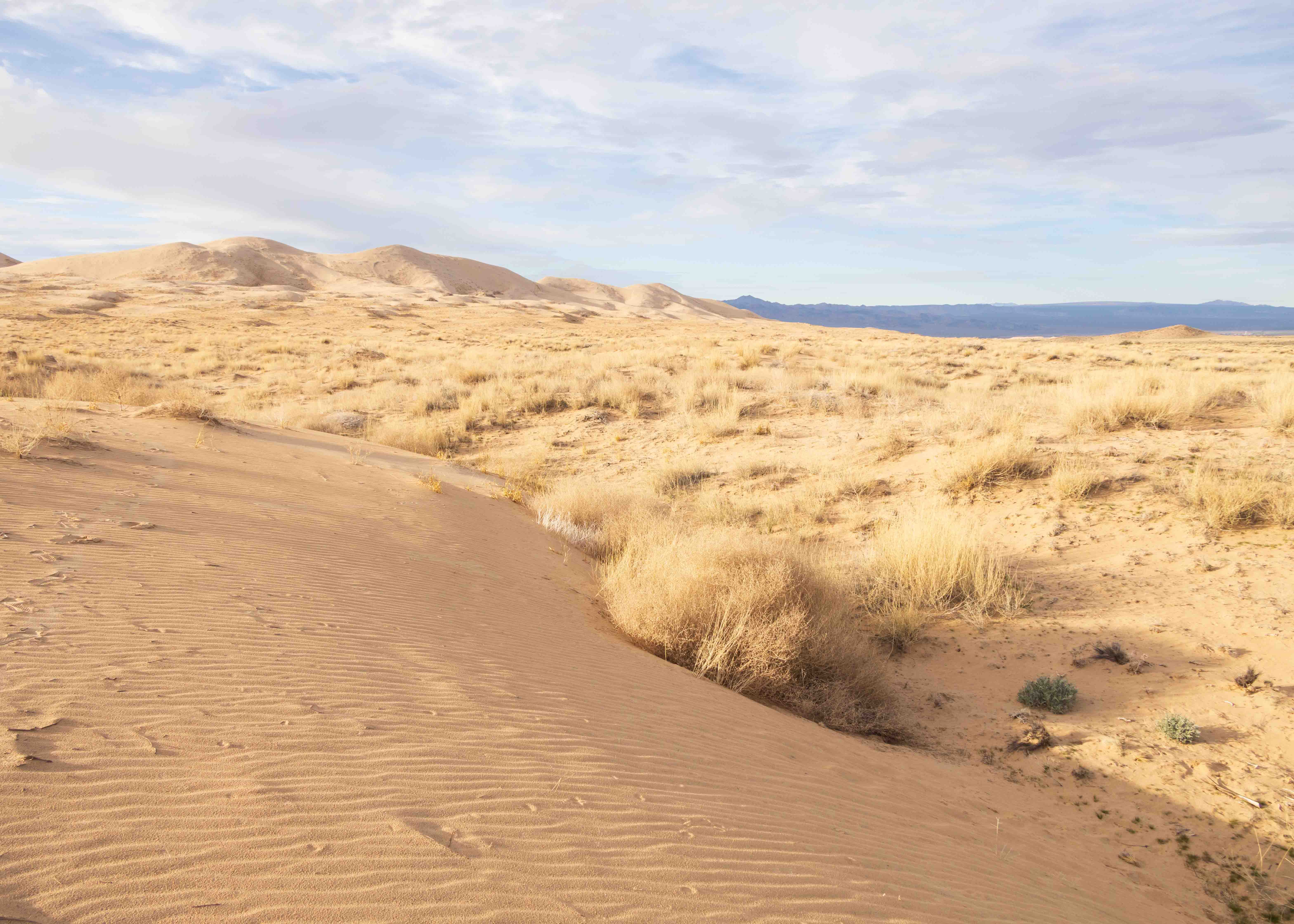 Day Trips from Las Vegas