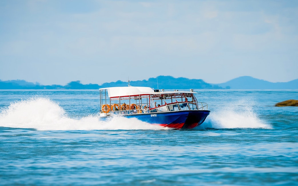 Speedboat Southern Albatross cruising in Singapore waters.