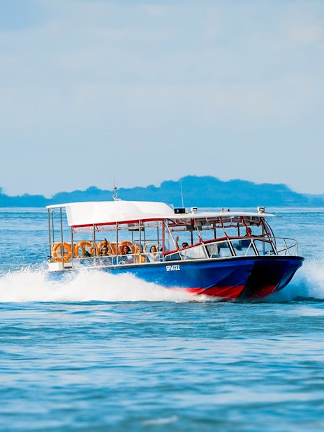Speedboat Southern Albatross cruising in Singapore waters.