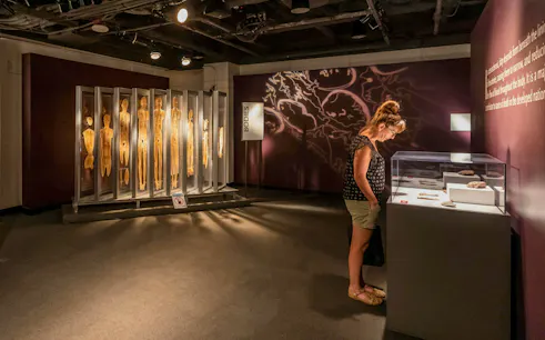 Visitor examining anatomical displays at Bodies: The Exhibition.