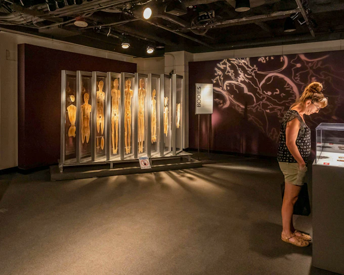 Bodies: The Exhibition