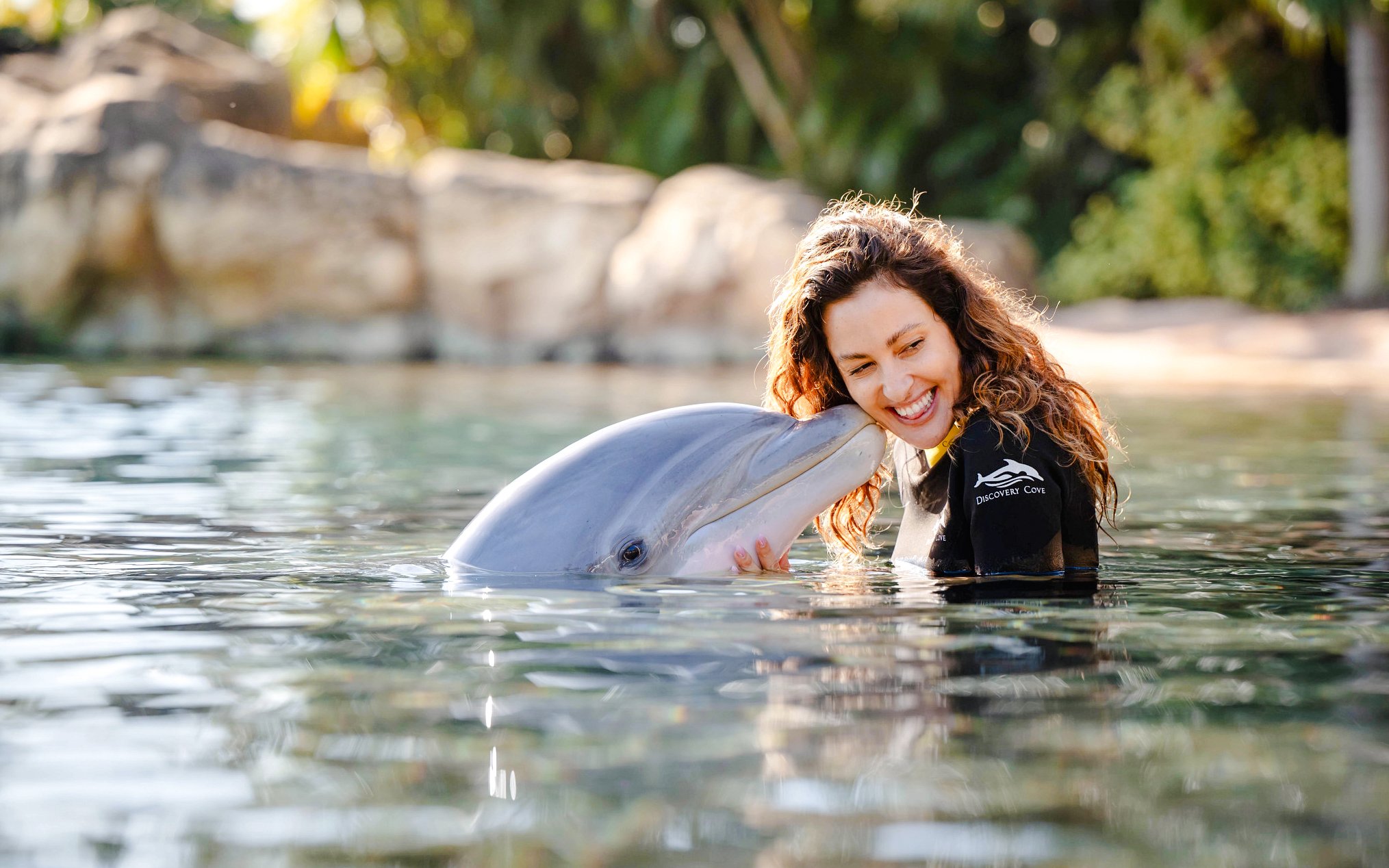 Person interacting with a dolphin at Discovery Cove Orlando.