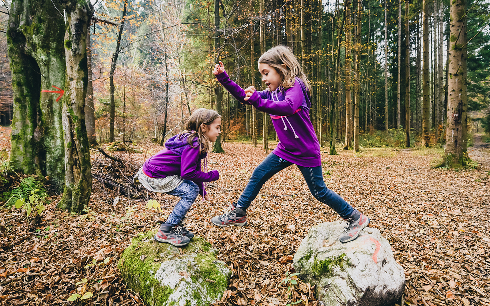 Children engaging in animal movement games at a park in New York City.
