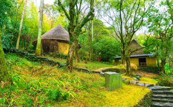 Thatched-roof huts surrounded by lush forest in Shikoku Village, Kagawa, Japan.