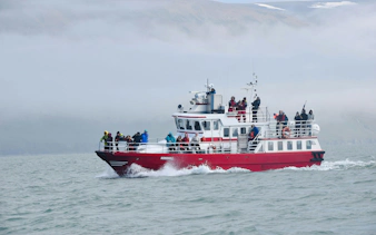 Whale watching boat with tourists in Akureyri, Iceland, navigating misty waters.