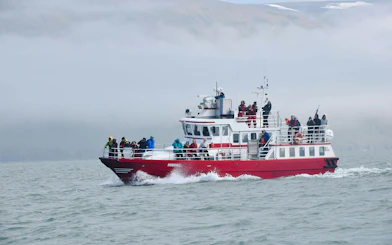 Whale watching boat with tourists in Akureyri, Iceland, navigating misty waters.