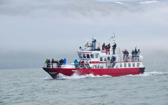 Whale watching boat with tourists in Akureyri, Iceland, navigating misty waters.