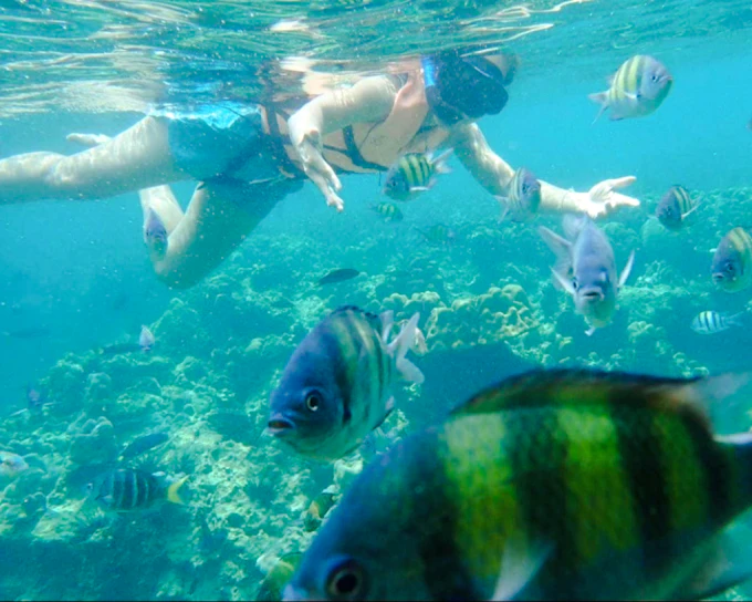 Langkawi Dangli Island Boat Trip with Snorkeling and Beach Stop