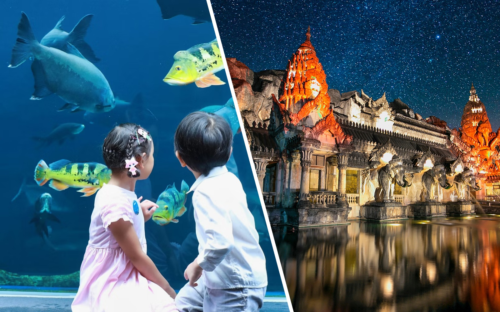 Palace Court at Phuket Fantasea illuminated at night with elephant statues and starry sky.