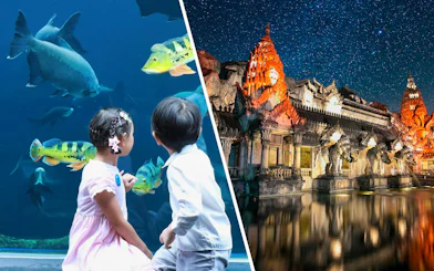 Palace Court at Phuket Fantasea illuminated at night with elephant statues and starry sky.