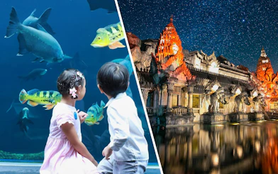 Palace Court at Phuket Fantasea illuminated at night with elephant statues and starry sky.