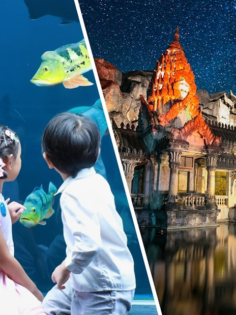 Palace Court at Phuket Fantasea illuminated at night with elephant statues and starry sky.