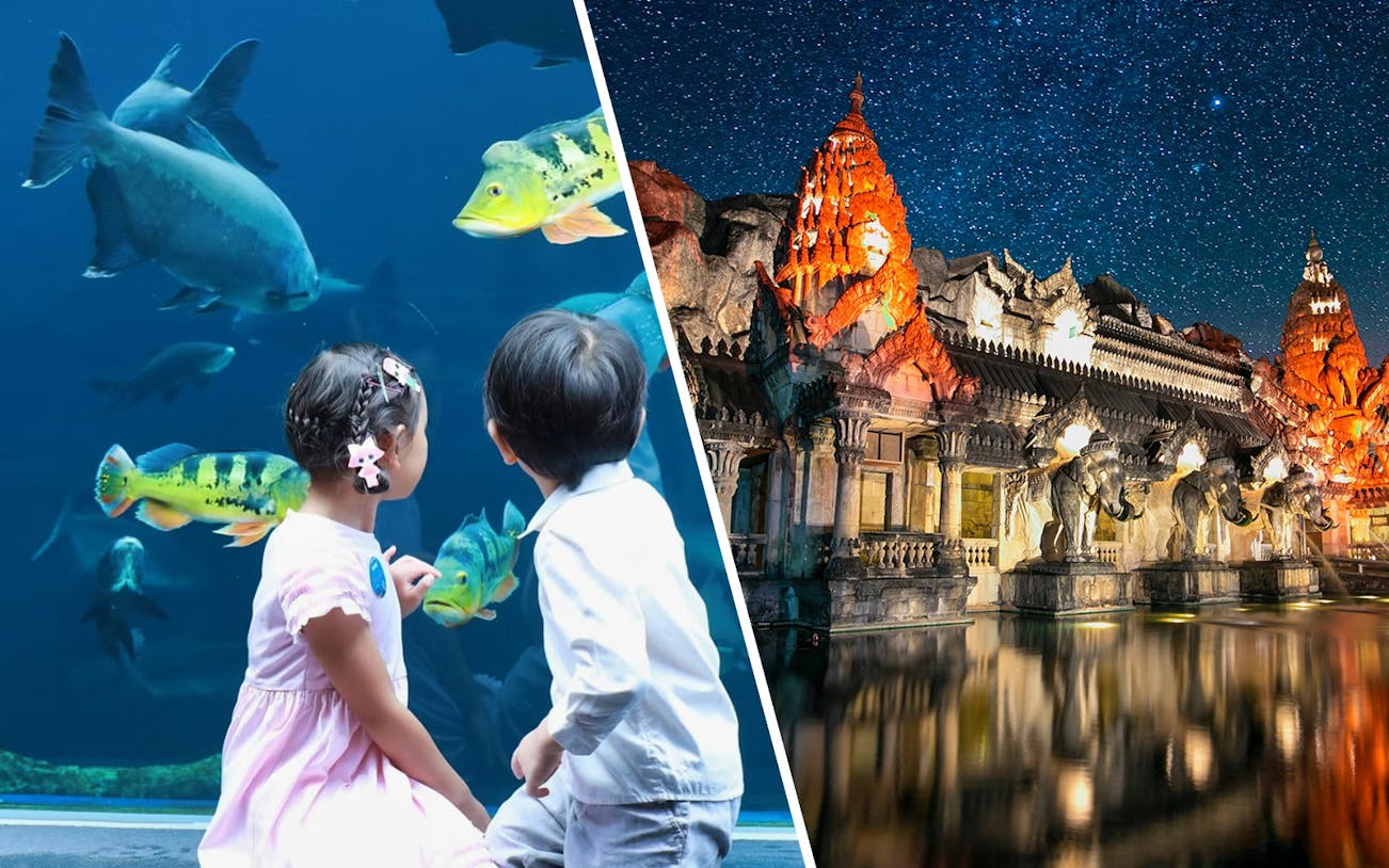 Palace Court at Phuket Fantasea illuminated at night with elephant statues and starry sky.