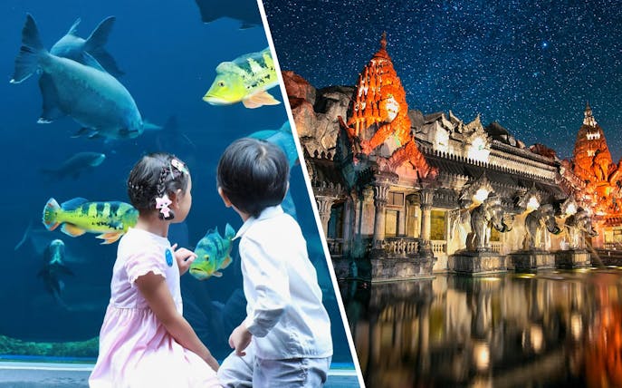 Palace Court at Phuket Fantasea illuminated at night with elephant statues and starry sky.