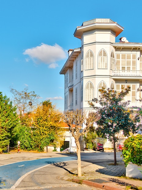 Historic mansion on Büyükada, Princes Islands, Istanbul, surrounded by lush greenery and vibrant flowers.