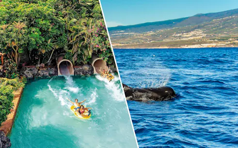 Tourists on water slide at Siam Park and pilot whale in ocean, Tenerife, Canary Islands, Spain.