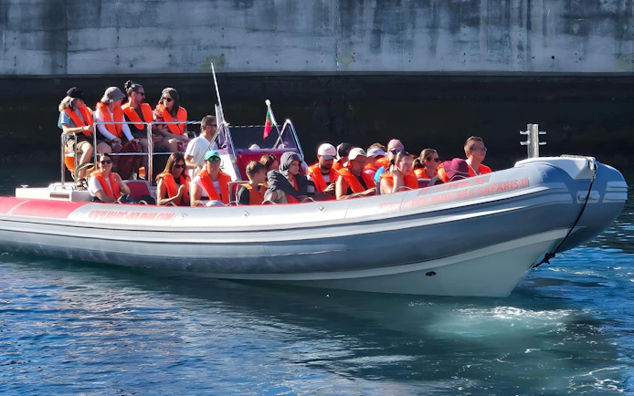 Tourists on a speedboat for Madeira dolphin and whale watching excursion.