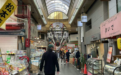 Osaka shopping arcade with local shops and people exploring food origins.