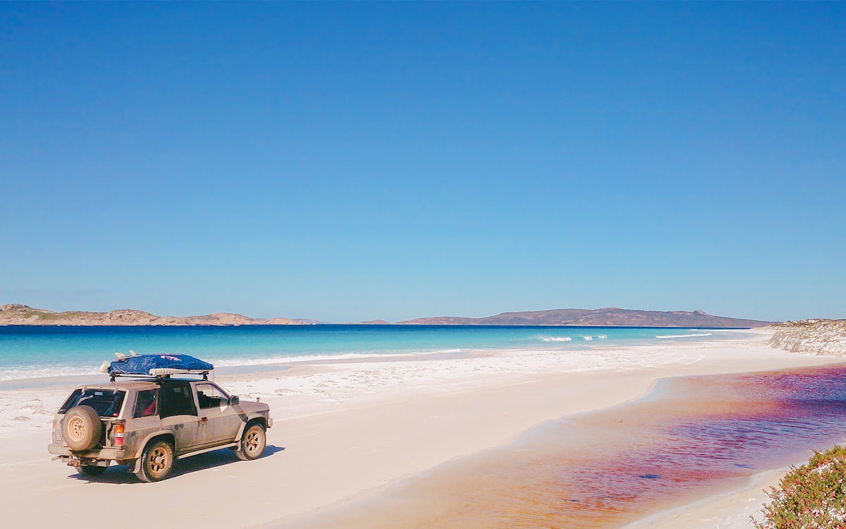 6-hour guided kayak dolphin tour and 4wd beach adventure from noosa-2 6-hour guided kayak dolphin tour and 4wd beach adventure from noosa-2