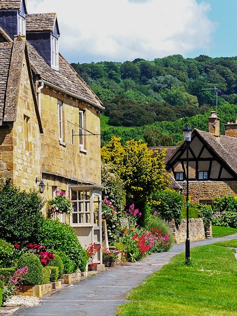 Cotswolds village street with stone cottages and lush gardens.