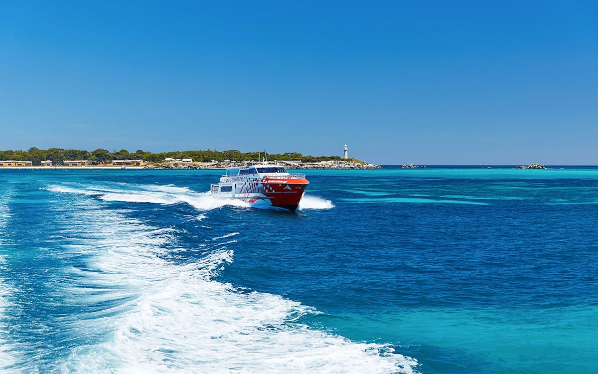 guided tour of rottnest island with round-trip ferry transfer-2 guided tour of rottnest island with round-trip ferry transfer-2