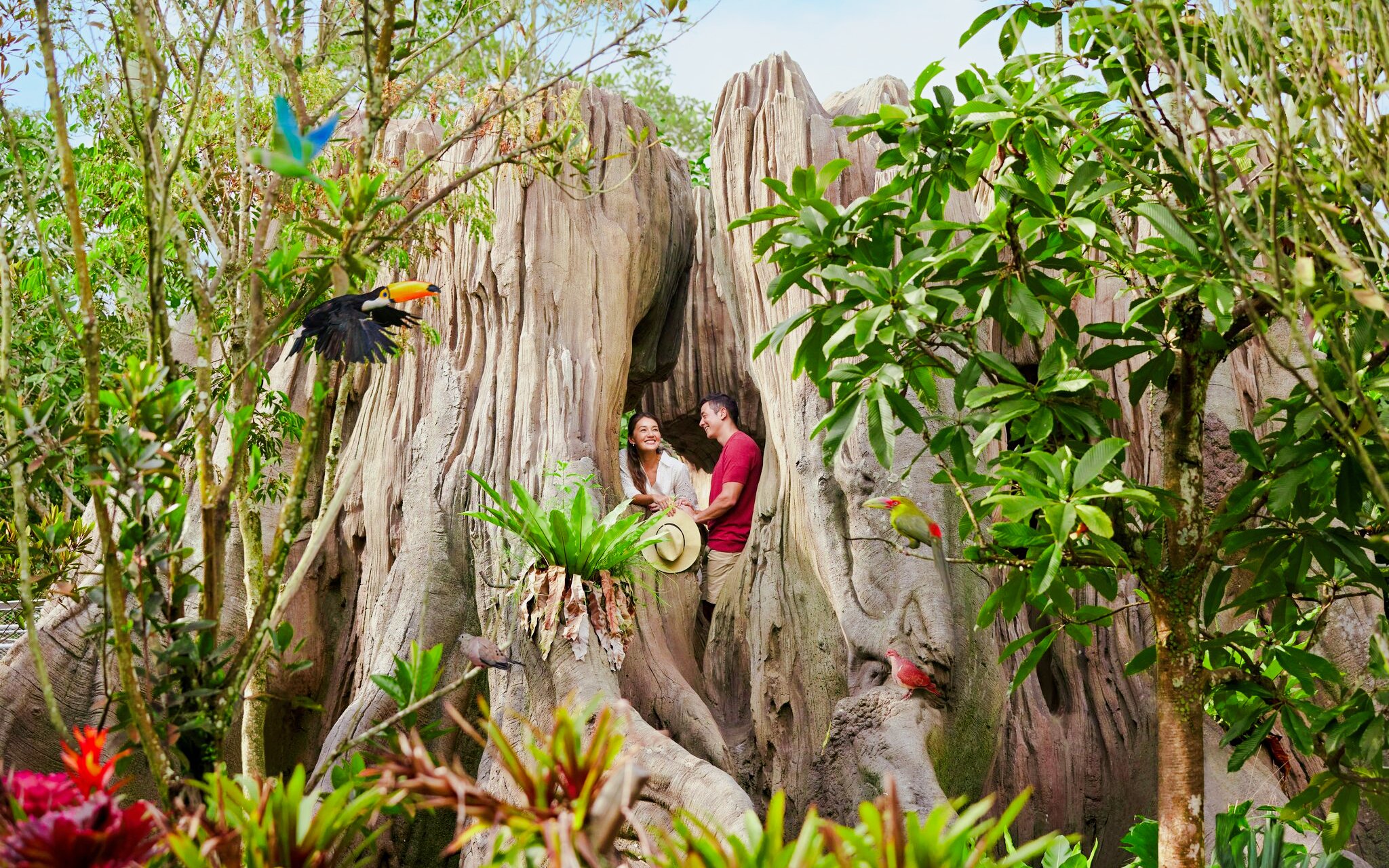 Couple exploring Amazonia Jewels aviary at Bird Paradise, Singapore, surrounded by lush greenery and colorful birds.