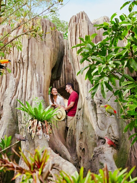 Couple exploring Amazonia Jewels aviary at Bird Paradise, Singapore, surrounded by lush greenery and colorful birds.