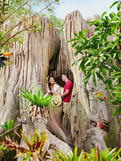 Couple exploring Amazonia Jewels aviary at Bird Paradise, Singapore, surrounded by lush greenery and colorful birds.