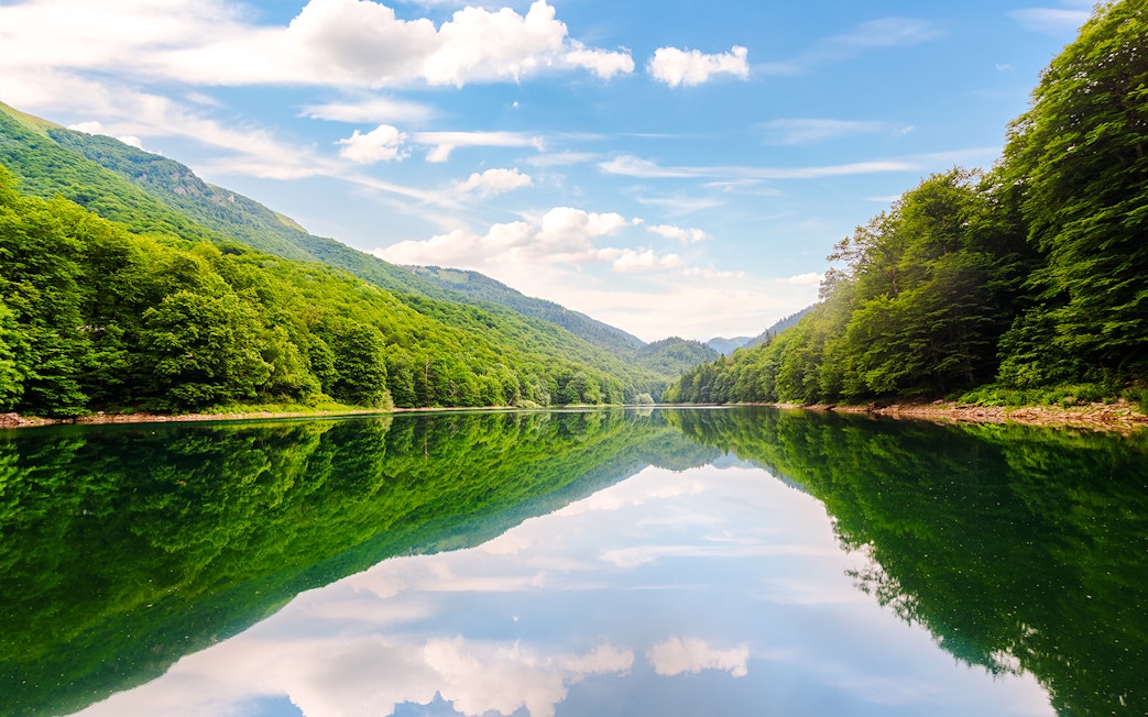Reflection of lush green forest in Biogradskoe Lake, Montenegro.