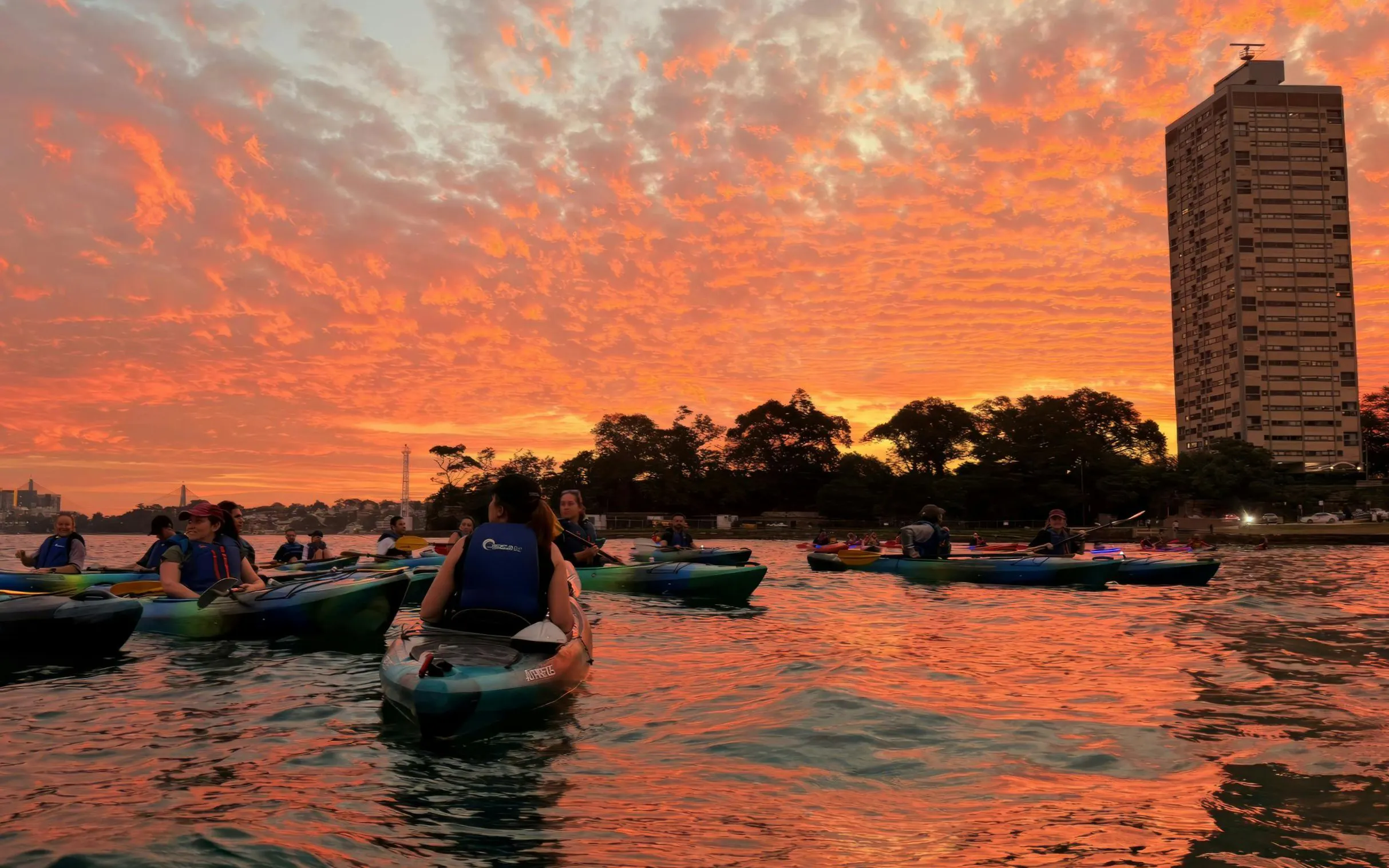 Sydney Habour Kayak Tours Image 6