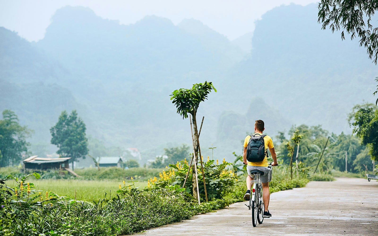 Cyclist on a rural path with lush greenery and mountains in Vietnam.