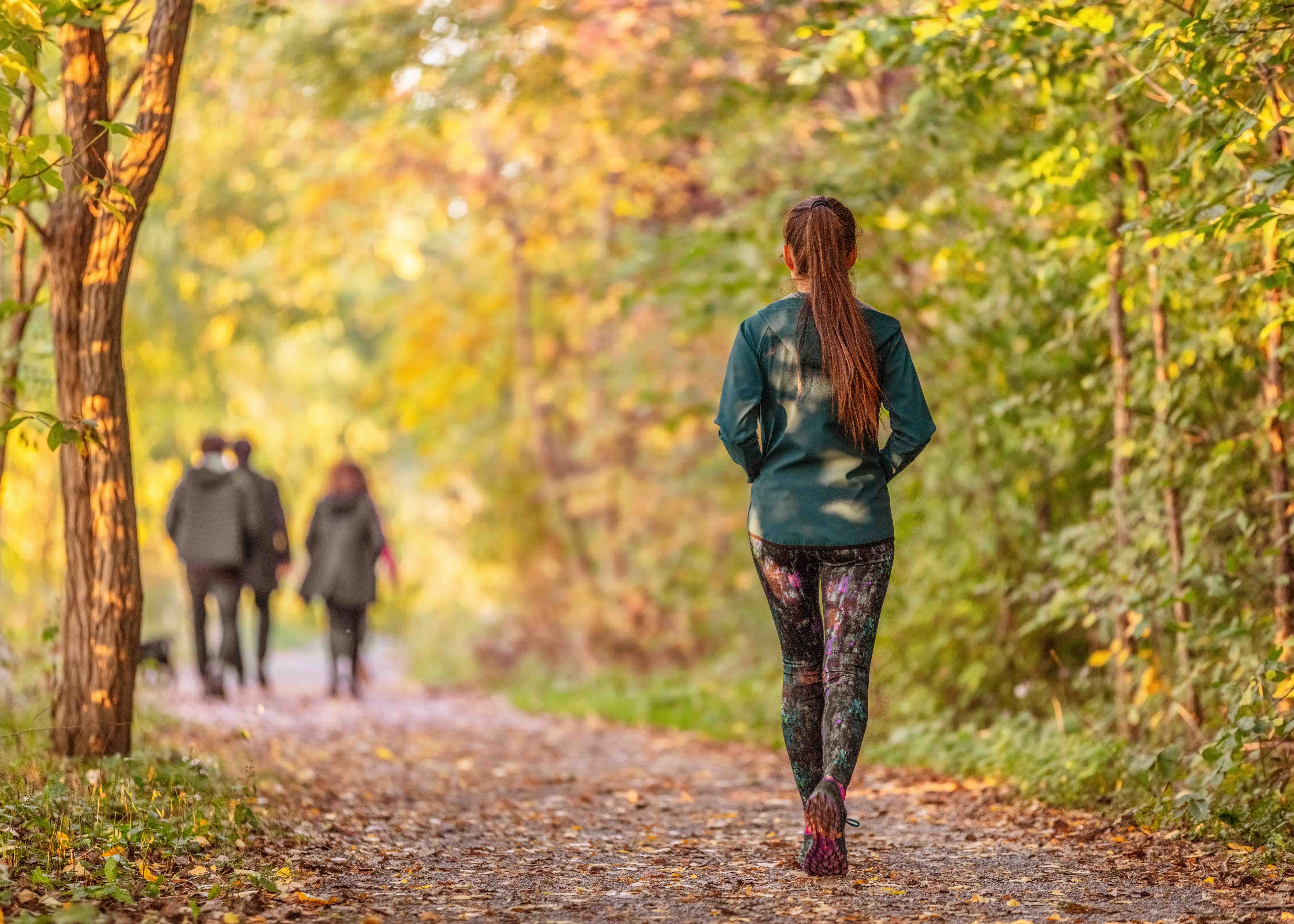 Gatorland Rules and Regulations