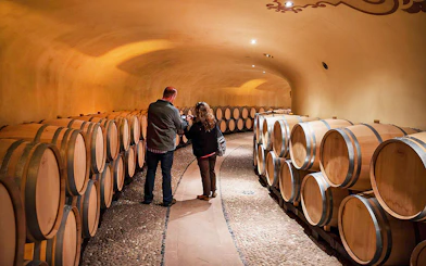 Visitors exploring wine barrels in a Chianti cellar during a guided tour.