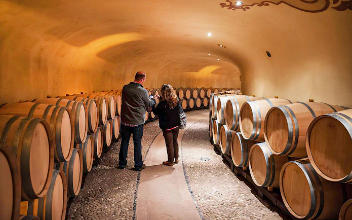 Visitors exploring wine barrels in a Chianti cellar during a guided tour.