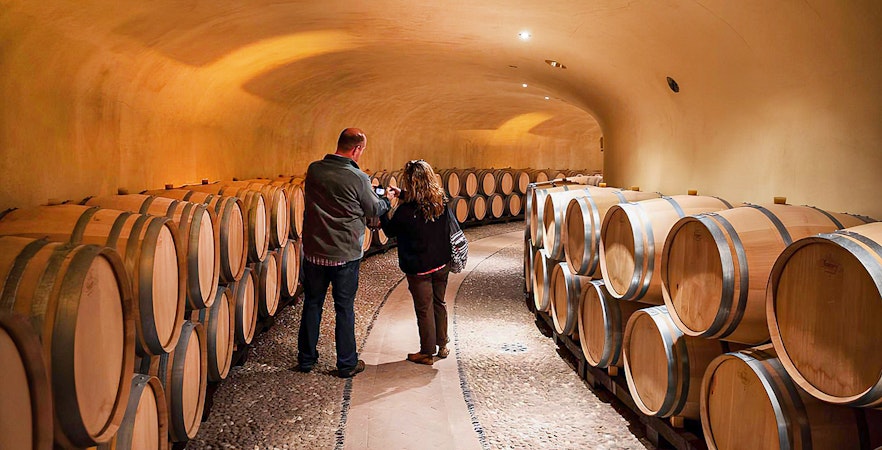 Visitors exploring wine barrels in a Chianti cellar during a guided tour.