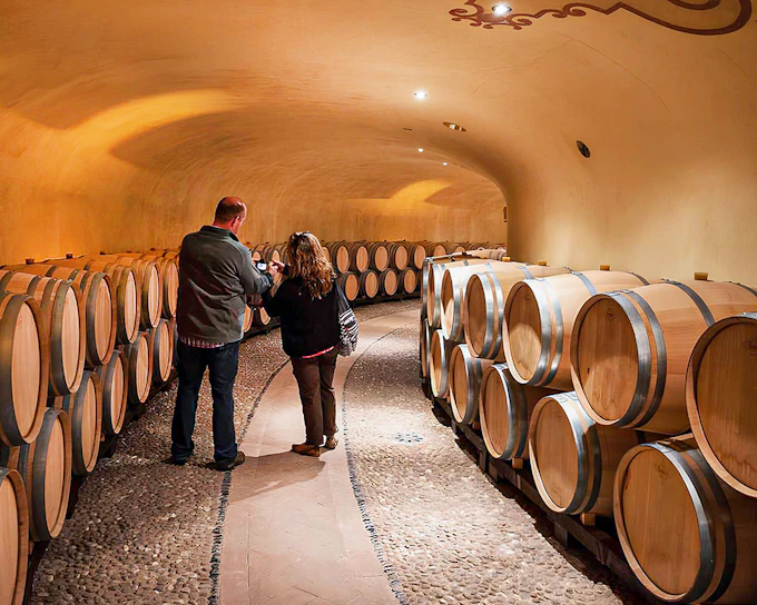 From Florence: Chianti Countryside & Olive Grove Semi-Private Tour with Lunch & Gourmet Pairings