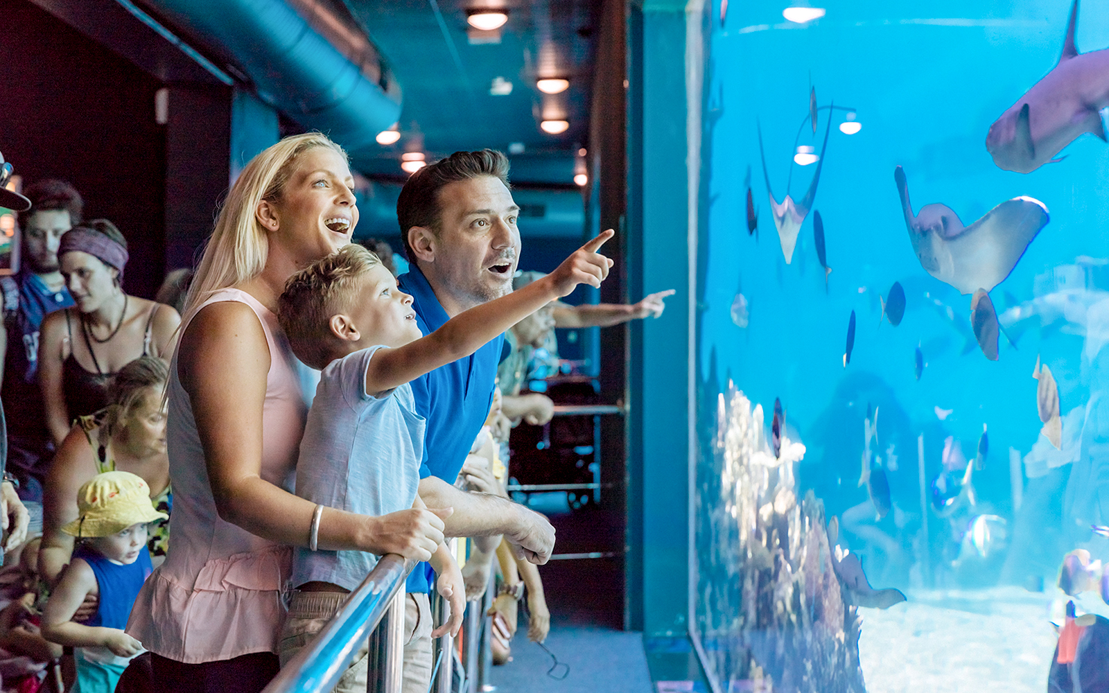 Guests observing marine life at Sea World, Gold Coast.