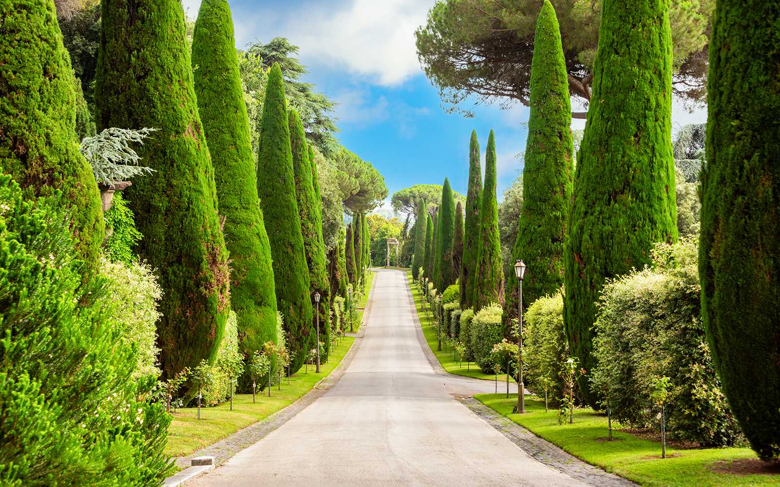 Tree-lined path in Pontifical Villa Gardens, Castel Gandolfo, Italy.