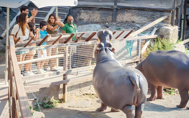 Visitors observing hippos at Selwo Aventura park in Estepona, Spain.