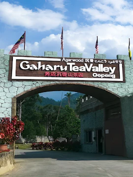 Entrance archway to Gaharu Tea Valley, Gopeng, with flags and lush greenery in the background.
