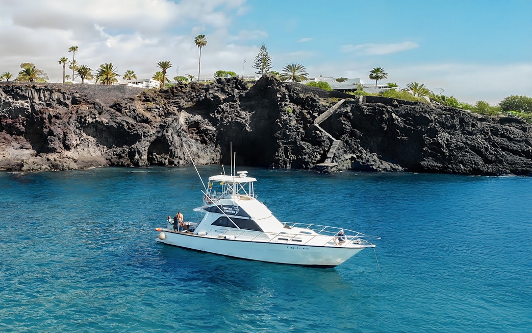 Luxury boat near rocky Tenerife coast for whale watching tour.