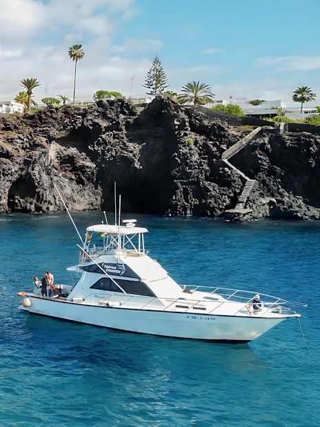 Luxury boat near rocky Tenerife coast for whale watching tour.