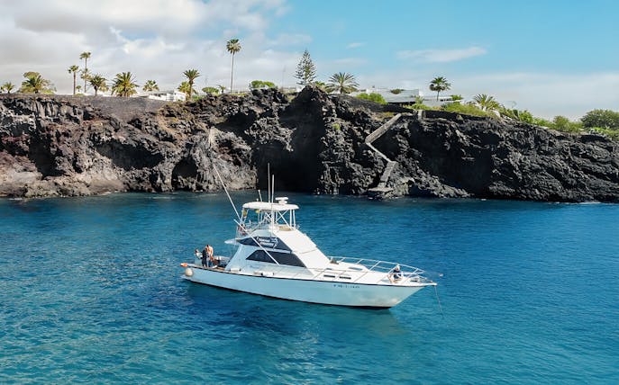 Luxury boat near rocky Tenerife coast for whale watching tour.