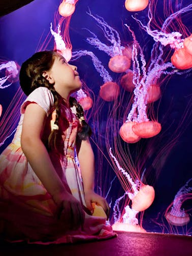 Lost Chambers Aquarium Tickets