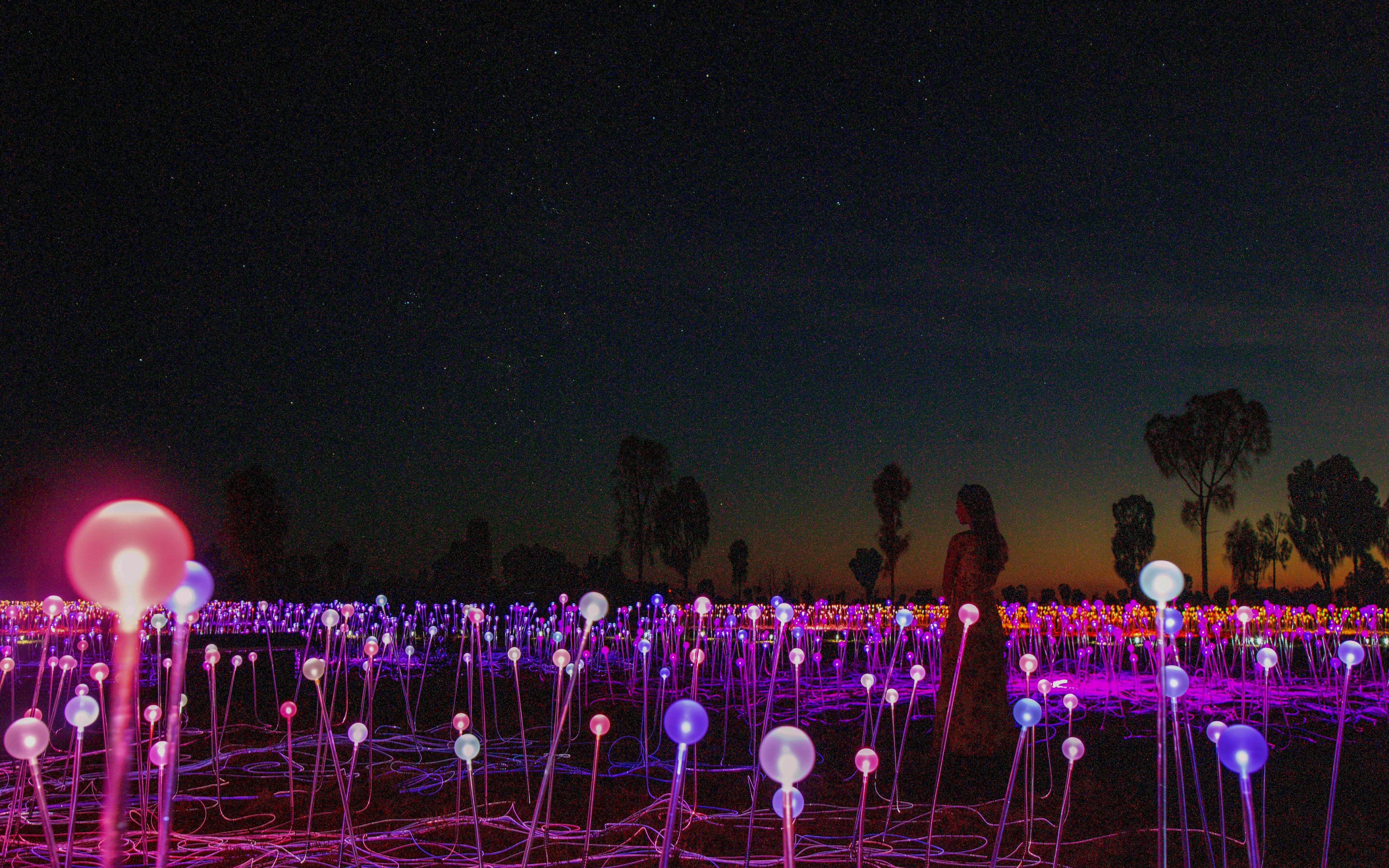 Uluru Field of Light installation at sunrise with glowing spheres and silhouetted trees.