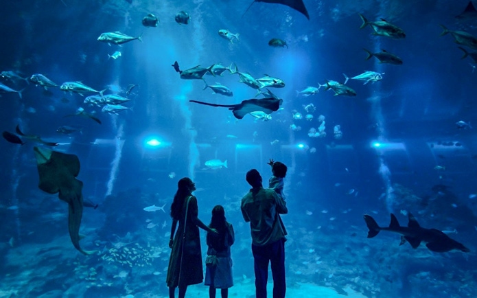 Family observing marine life at SG Oceanarium, Singapore.